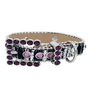 Pet Collar - Shiny Amethyst