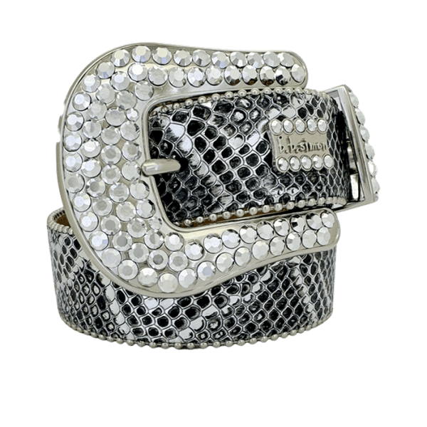 Classic-Silver Coiled Serpent/Silver Chrome - B.B. Simon® display picture 1