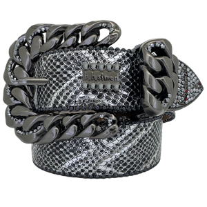 Crystal Prestige-Silver Coiled Serpent-Hematite