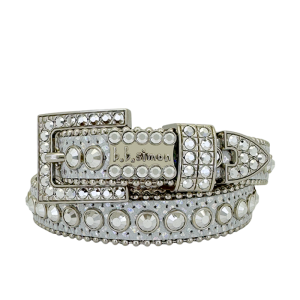 Alegra - Silver / Chrome