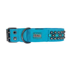 Pet Collar - Safa / Blue Zircon / B