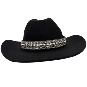 Desert Stone Hat - Silver Coiled Serpent / Chrome