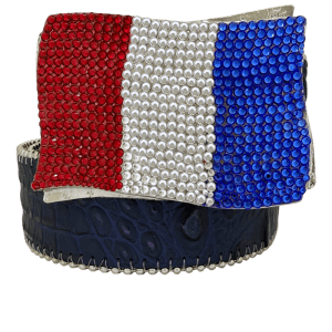 France Flag