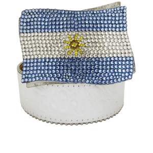Argentina Flag